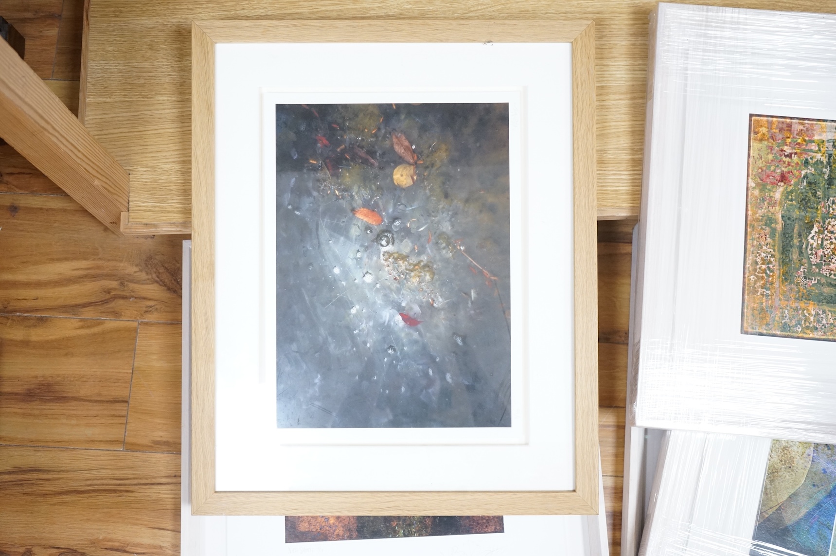 Valda Bailey (Contemporary), Abstract compositions to include ‘New Shoots’, ‘Through a Greenhouse Darkly’ and ‘A Strange Absence’, each signed in pencil, some limited edition, five photographic prints, largest 39 x 49cm